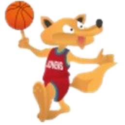 https://img.cctg2008.com/img/basketball/team/02db543865099b04638d400b476bca7d.png